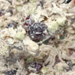 easy-chicken-salad-recip